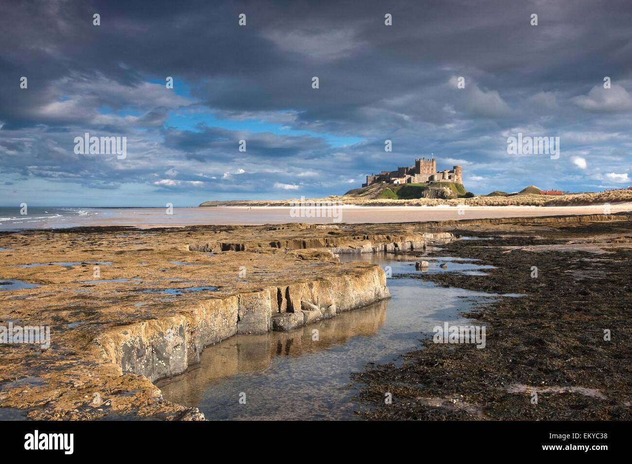 A View Of Bamburgh Castle; Bamburgh, Northumberland, England Stock ...