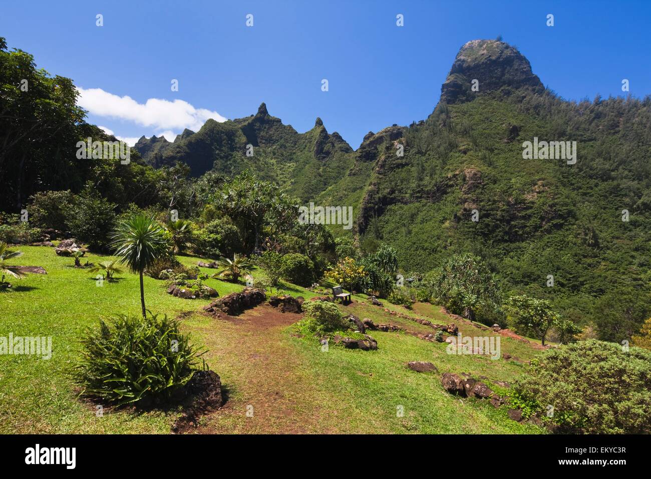 Limahuli garden hi-res stock photography and images - Alamy