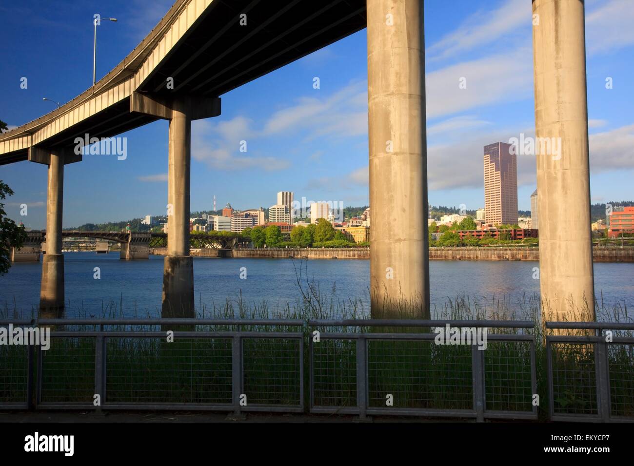 Portland, Oregon, United States Of America; Concrete Supports Of A Bridge Along The Willamette River Stock Photo