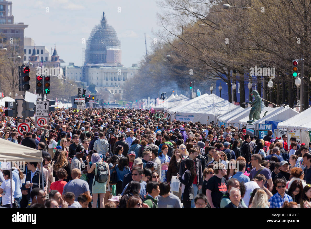 Crowd at National Cherry Blossom Festival (Sakura Matsuri) - Washington, DC USA Stock Photo