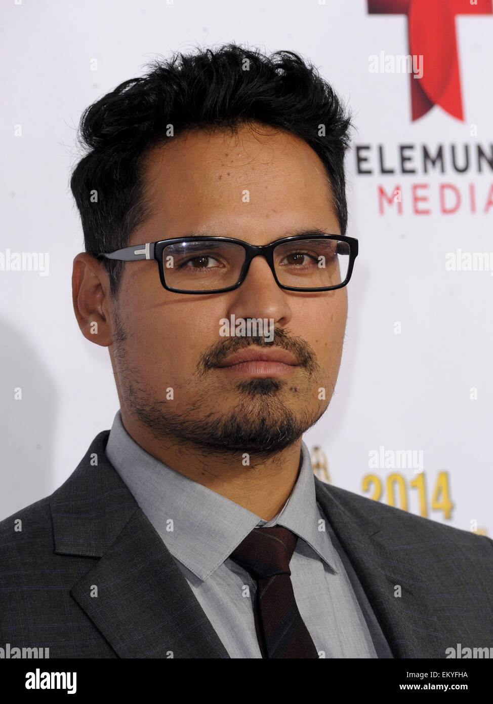 The 2014 ALMA Awards arrivals Featuring Michael Pena Where Los