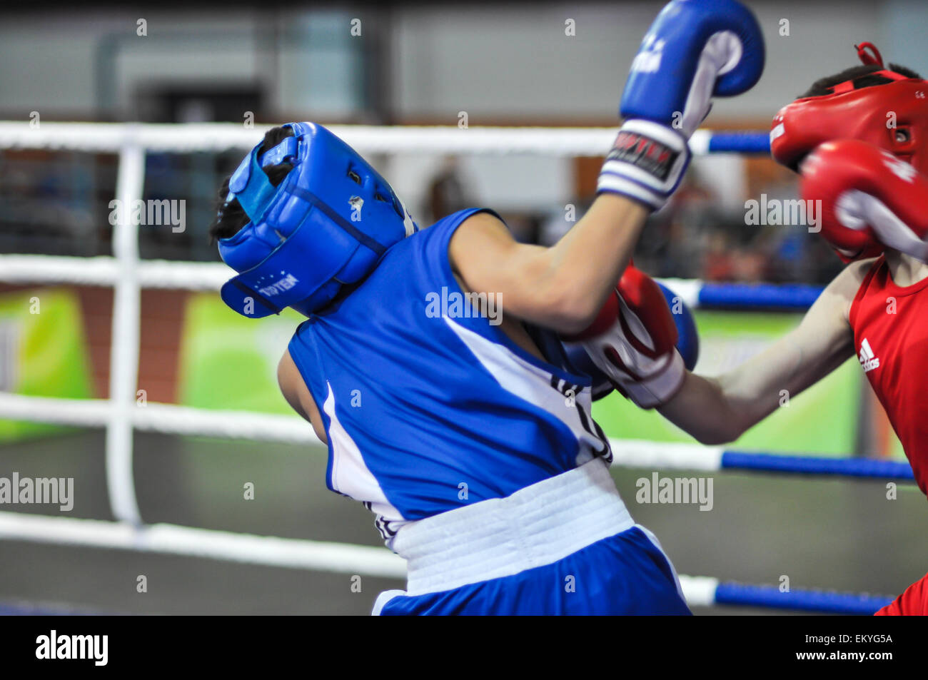Moscow, Russia. 28th of November, 2013 Italian boxer Gianluca Sirci in a  match against Russian athlete Nikolai Sazhin at the World Chess Boxing  Championship in Moscow, Russia Stock Photo - Alamy