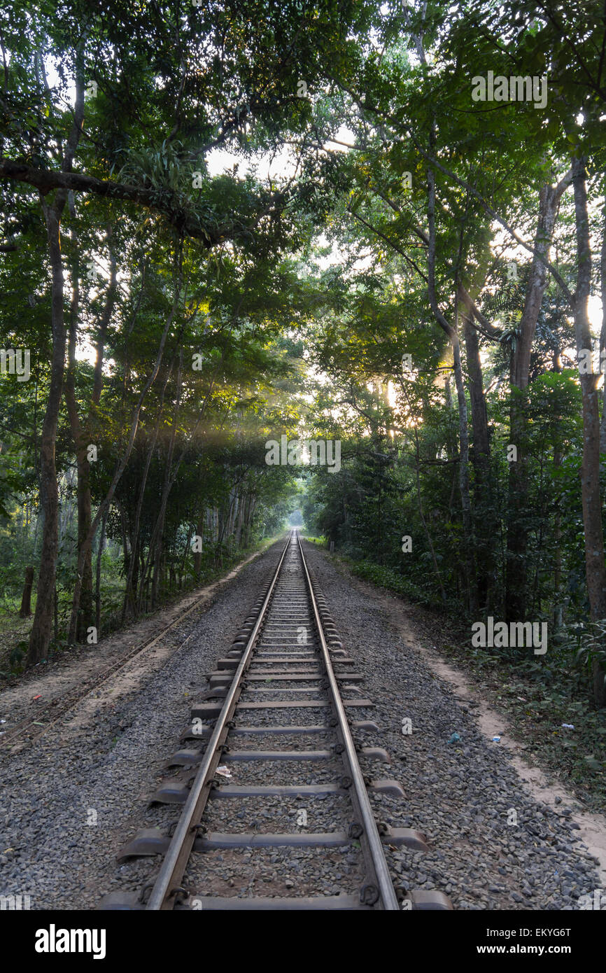 close up of a rail track in lawachara national park, bangladesh Stock Photo