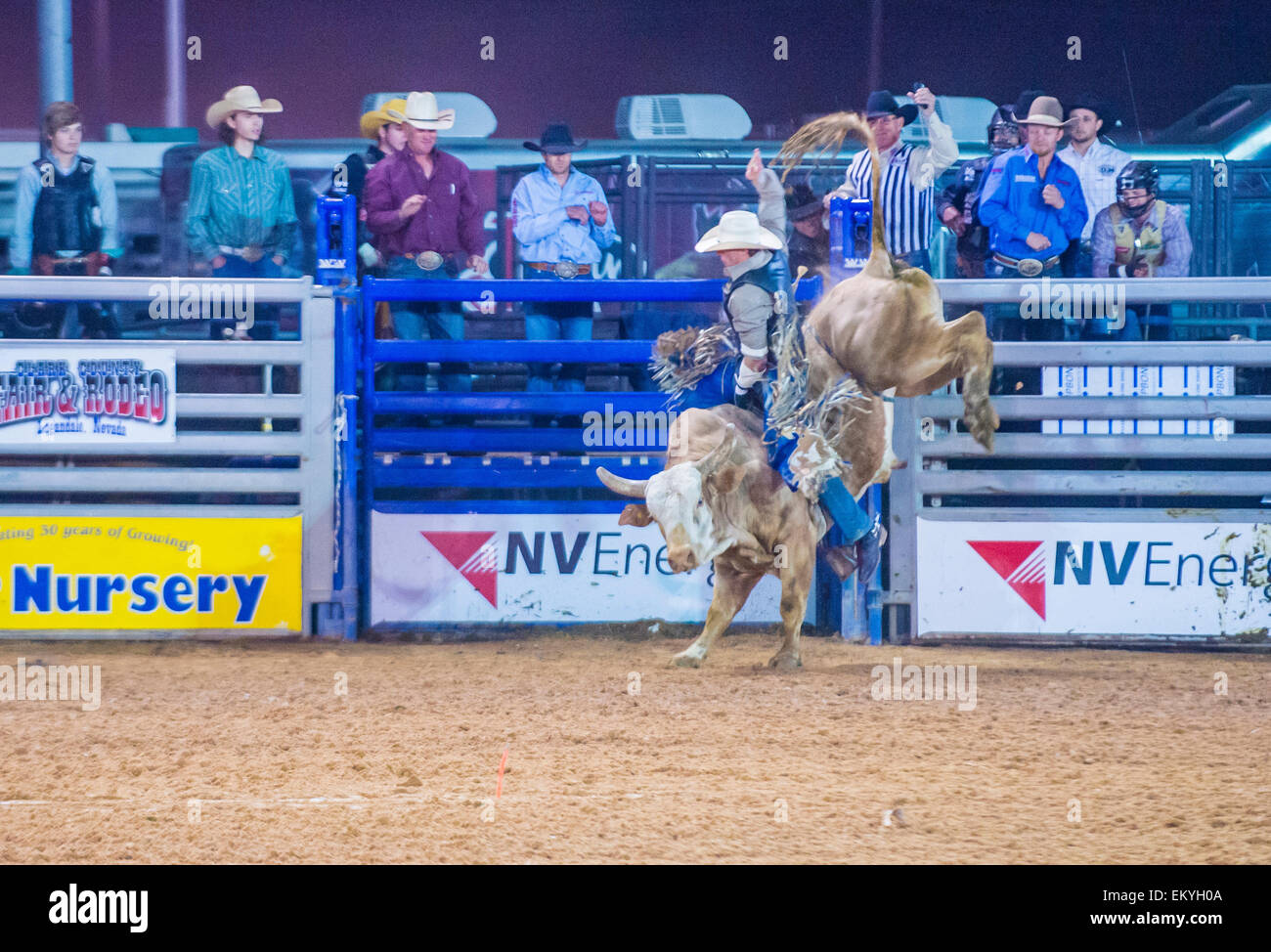 Cowboy Participating in a Bull riding Competition at the Clark County