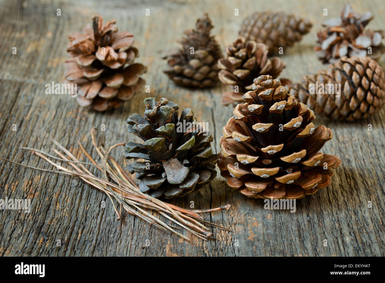Isolated fir cones with wooden background Stock Photo