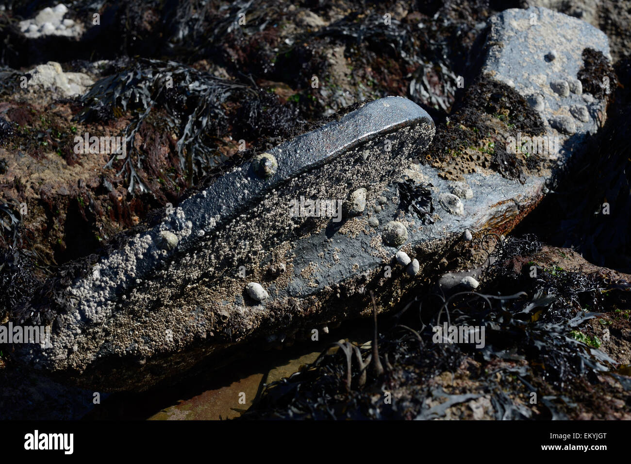 Wreck of the Agnes 1886 More than two hundred and fifty vessels have come to grief along Gower's busy and  treacherous coastline Stock Photo
