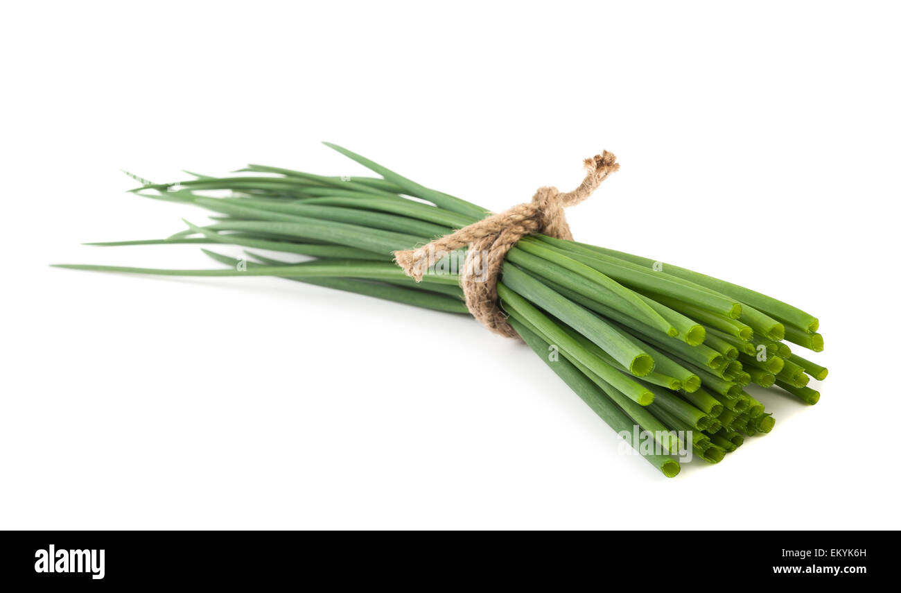 small bunch of Chives  isolated on white background Stock Photo