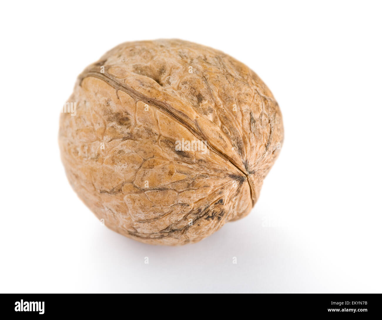 Walnut Stock Photo Alamy
