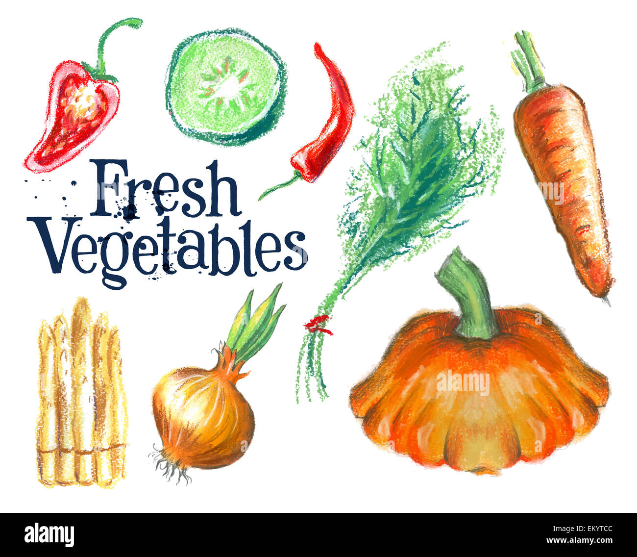gardening vector logo design template.  fresh food or ripe vegetables icon. Stock Photo