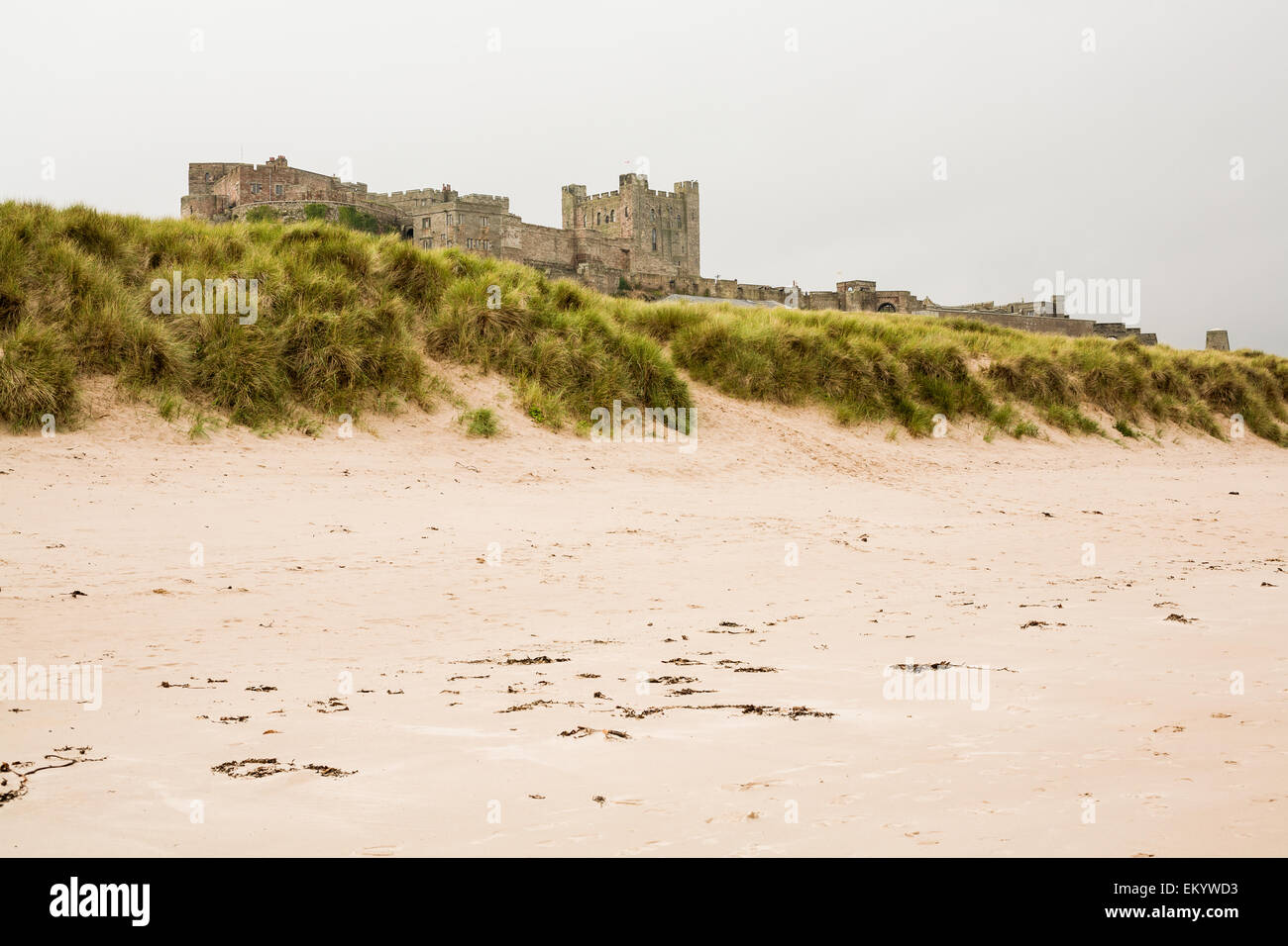 Bamburgh castle viewed from the beach. Stock Photo