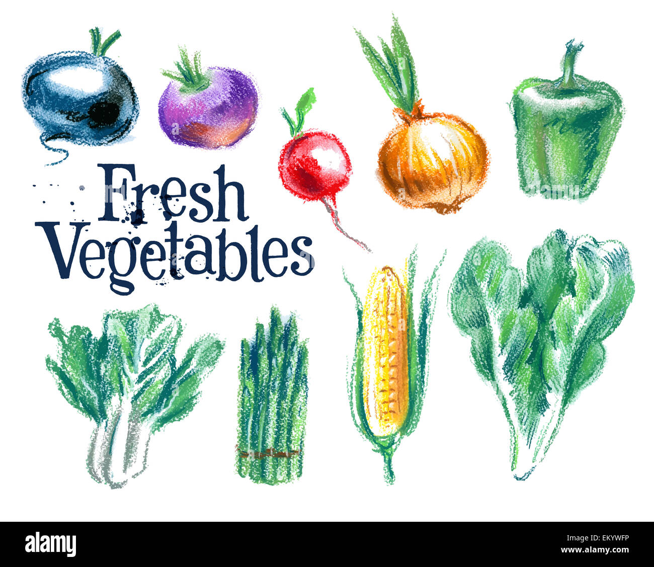vegetables vector logo design template.  fresh food or gardening icon. Stock Photo