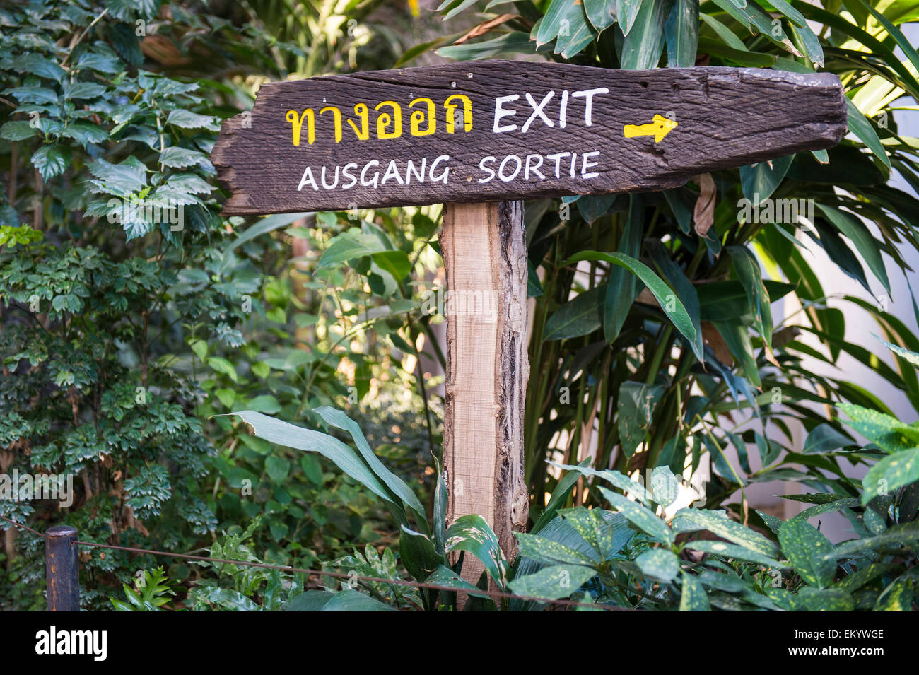 Exit sign, Masoala hall or Masoala kely, replica of the Madagascan Masoala rainforest, Zurich zoo, Switzerland Stock Photo