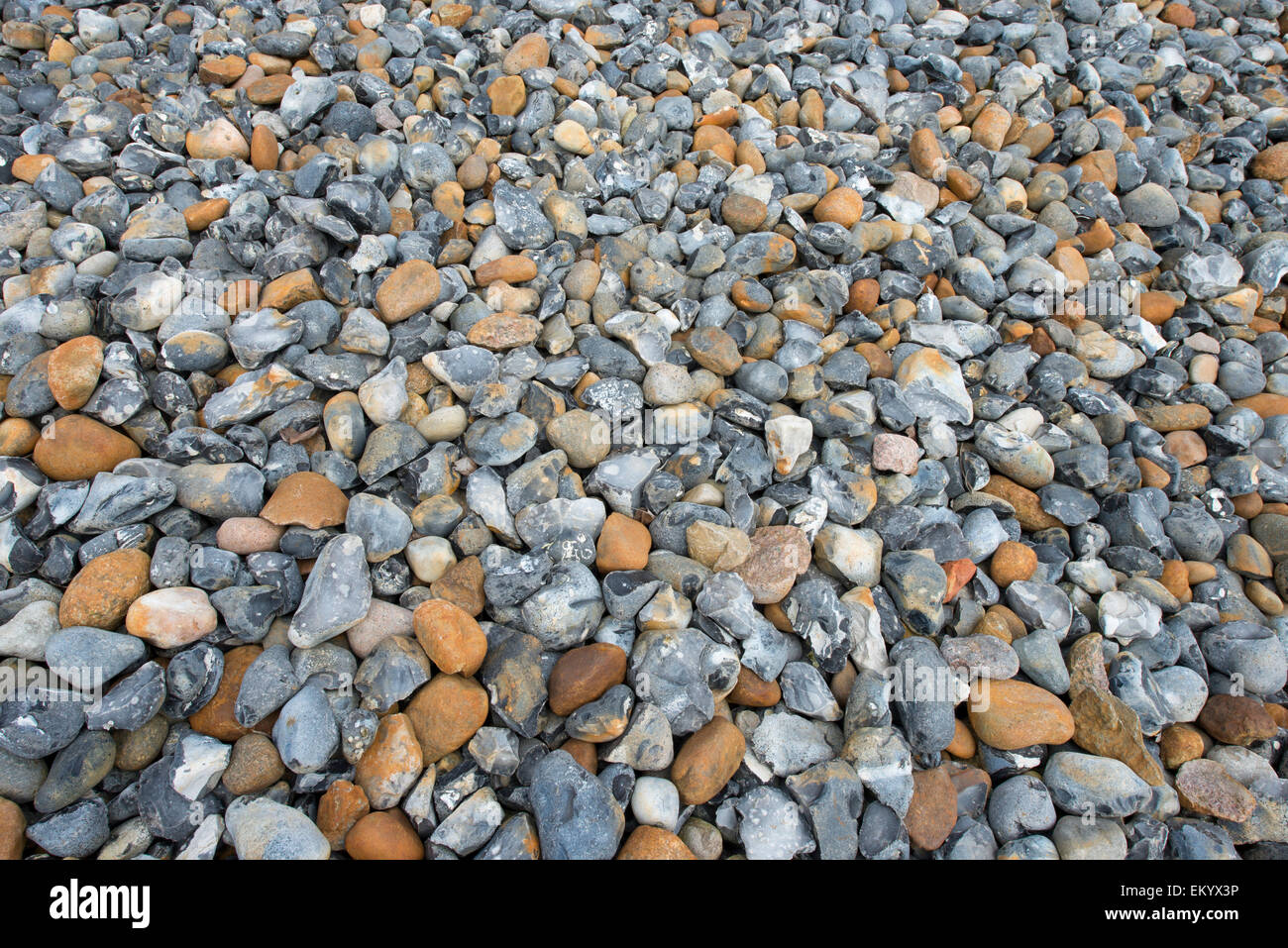 Flint stones, flint fields nature reserve, Prora, Ruegen, Mecklenburg