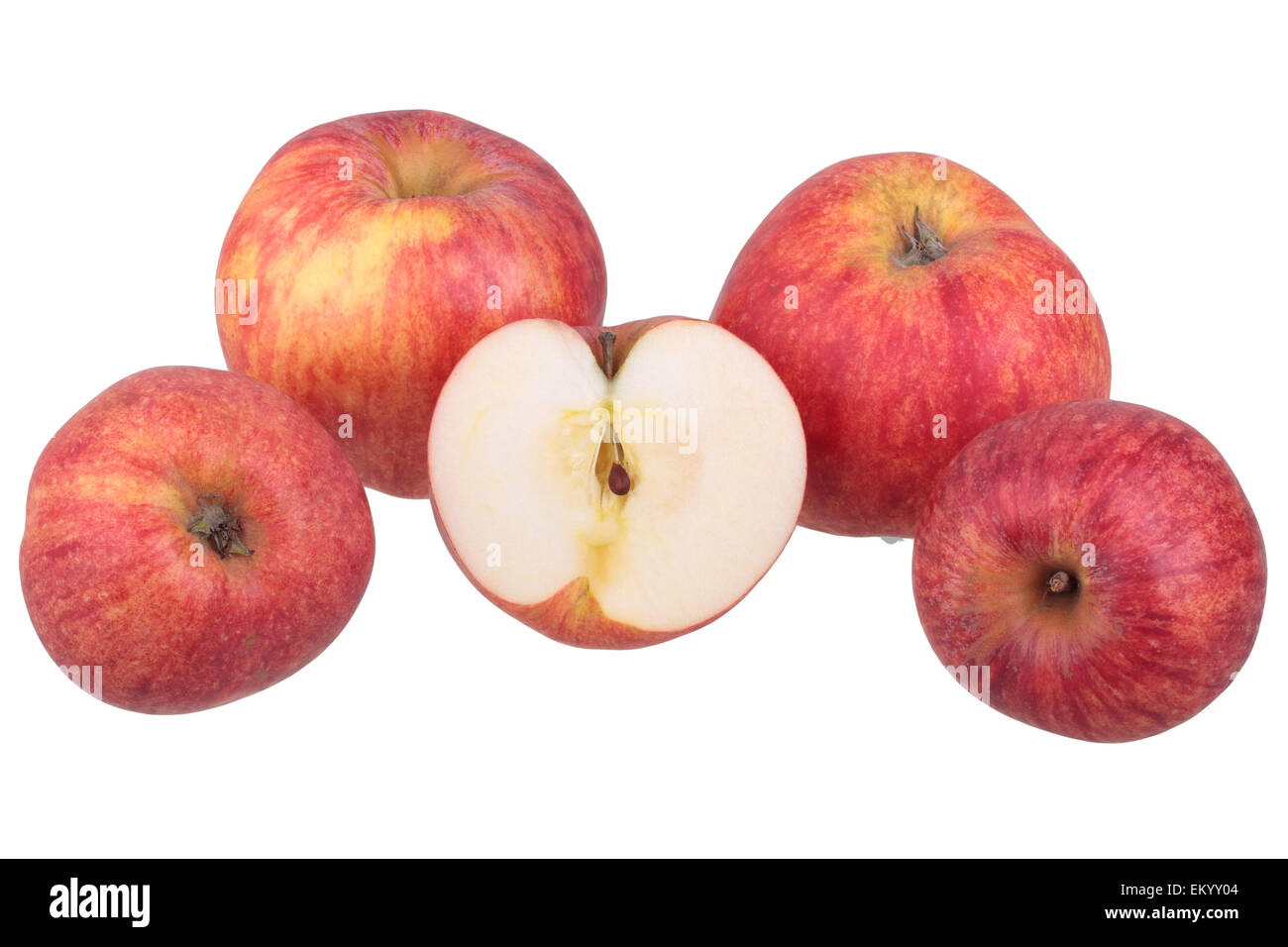 Red Gravenstein apple variety with cut apple Stock Photo