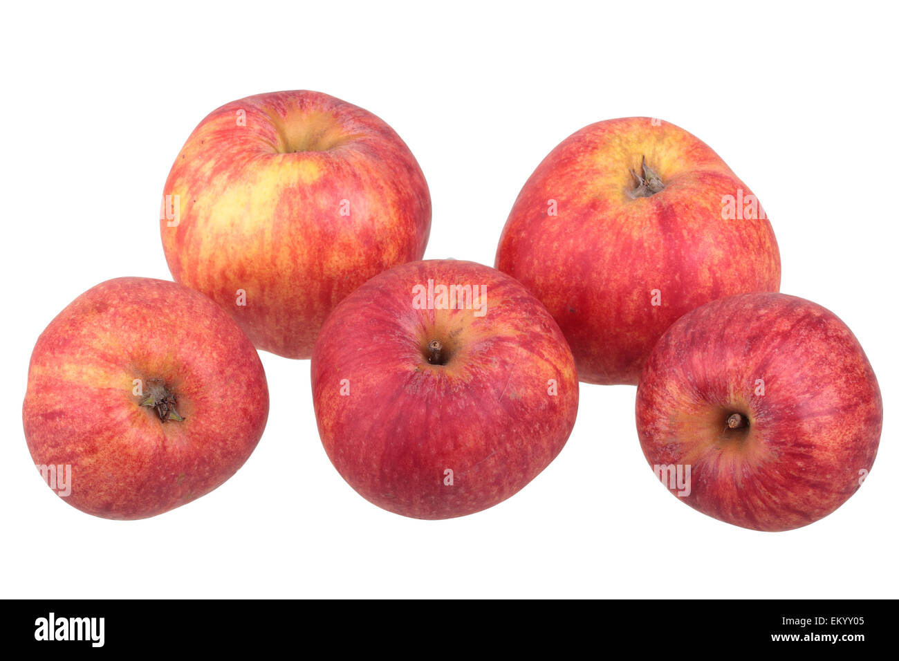 Red Gravenstein apple variety Stock Photo