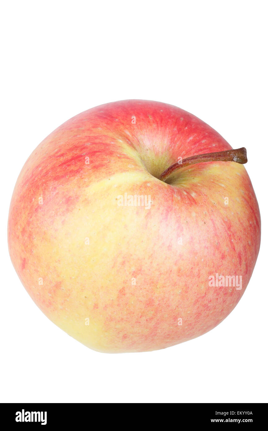 Apple variety Pinova Stock Photo