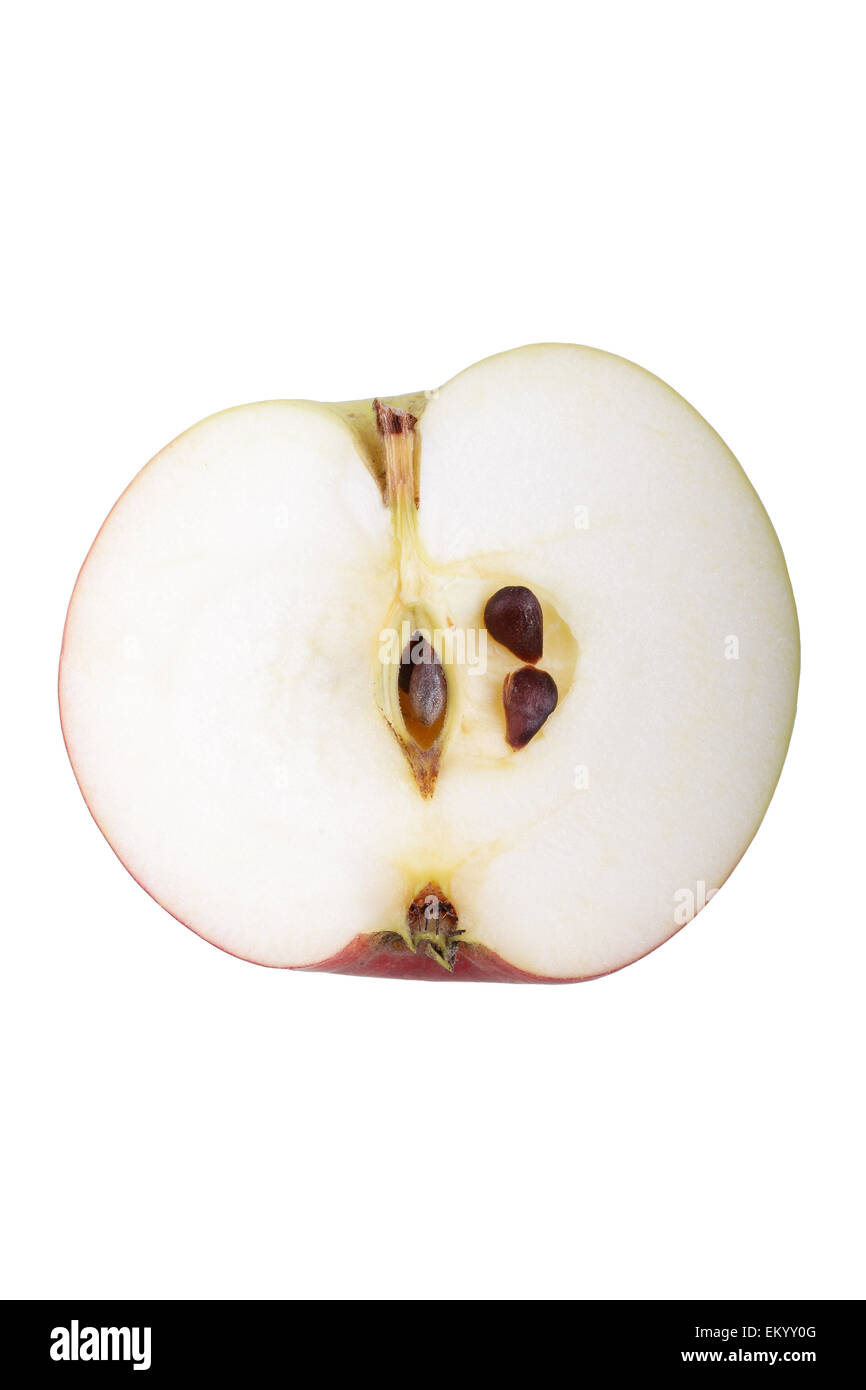 Apple variety Lusatian Clove Apple, cut Stock Photo