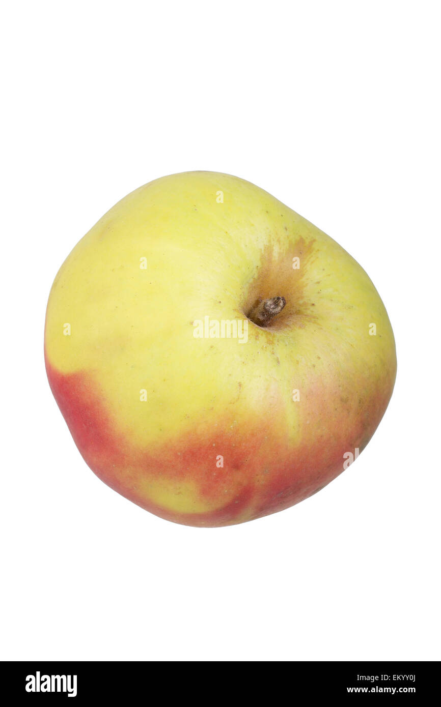 Apple variety Lusatian Clove Apple Stock Photo