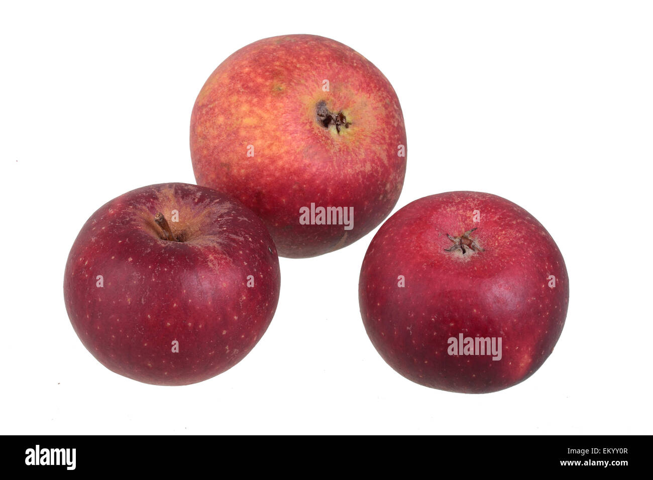 Apple variety Ingrid Marie Stock Photo