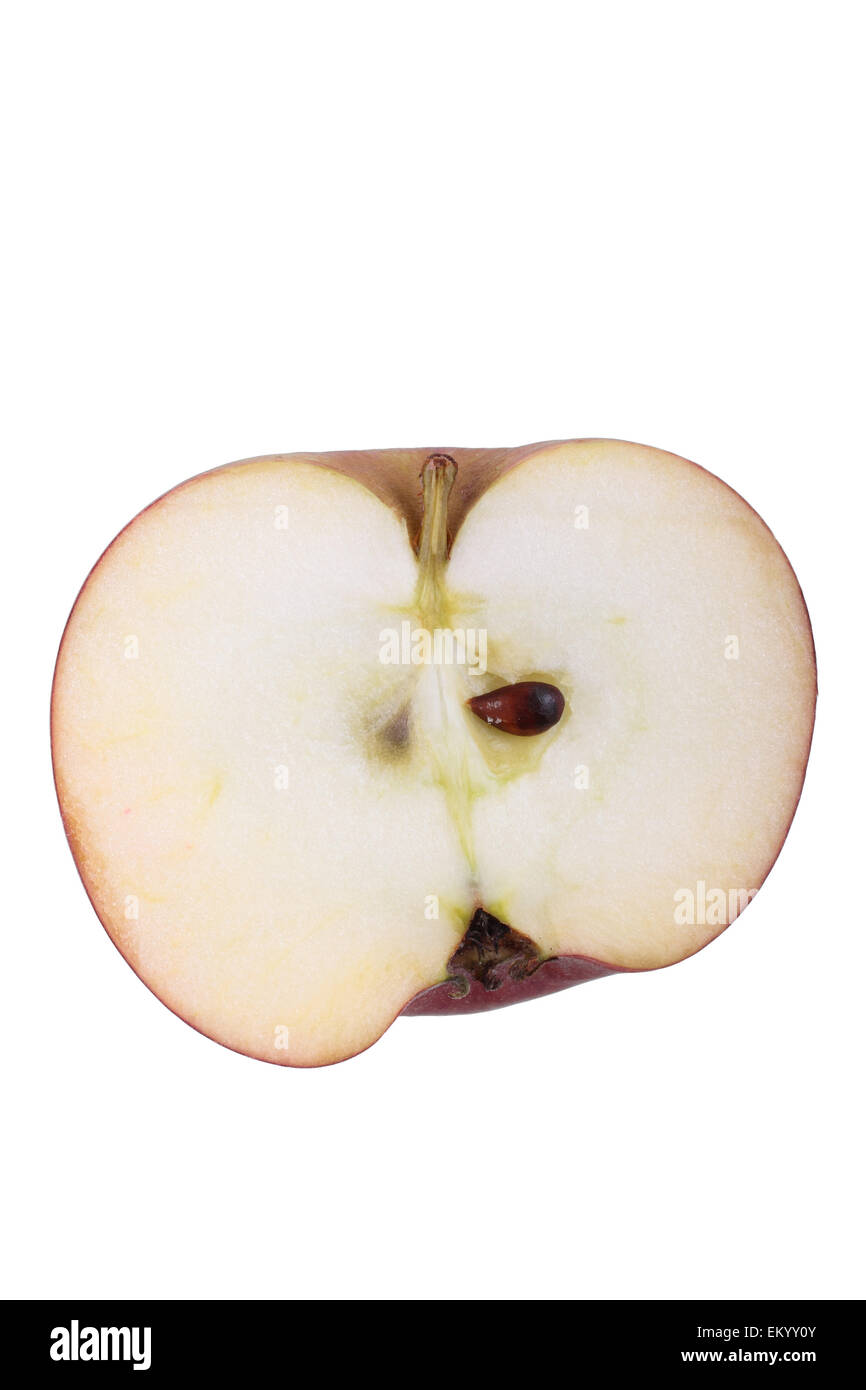 Apple variety Hessische Tiefenblüte, cut Stock Photo