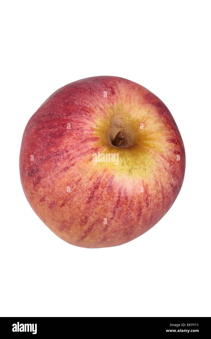 Apple variety Hessische Tiefenblüte Stock Photo