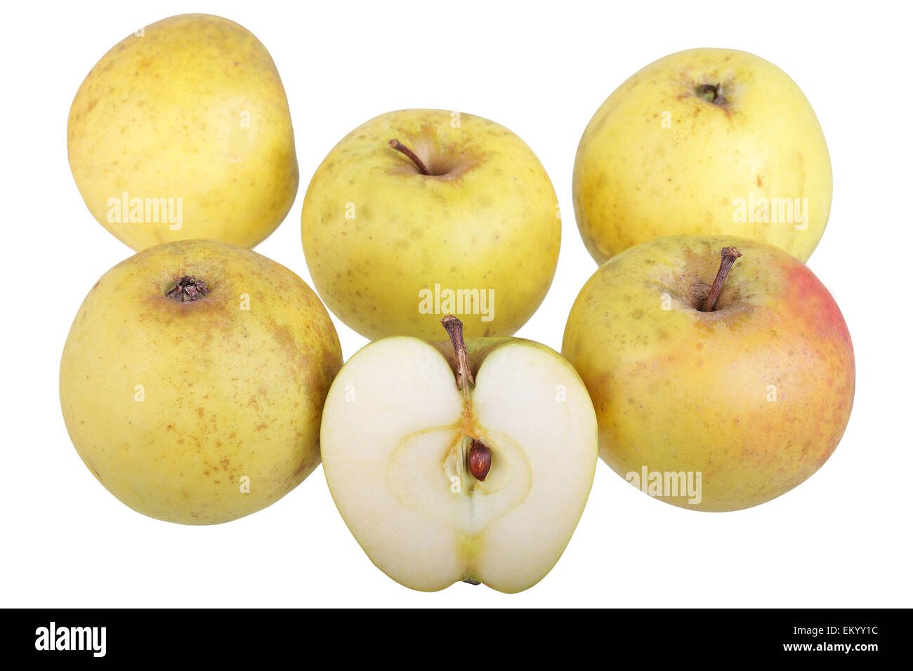 Apple variety Yellow Saxon Reinette, with one cut apple Stock Photo