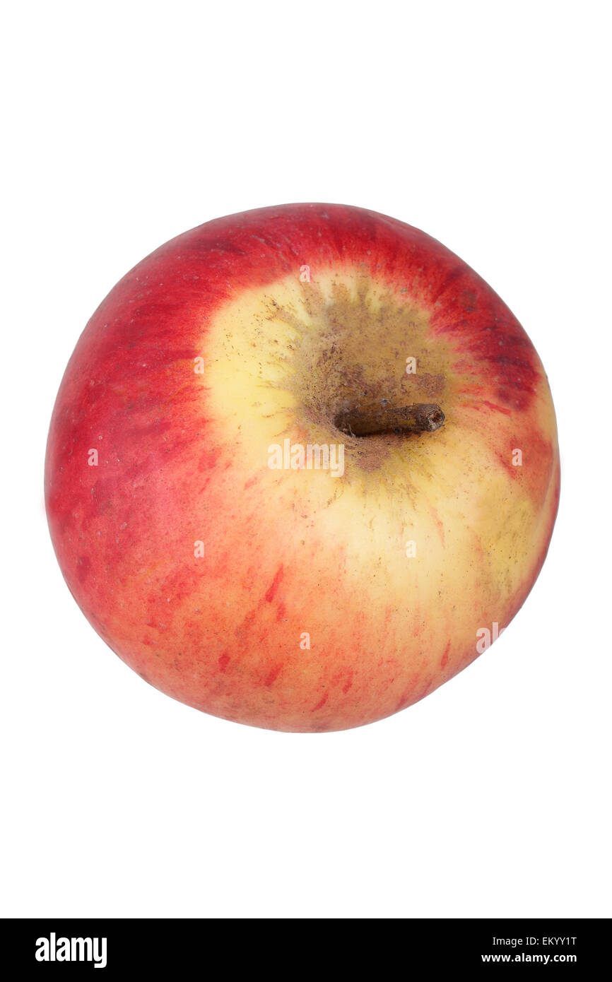 Apple variety Carola Stock Photo