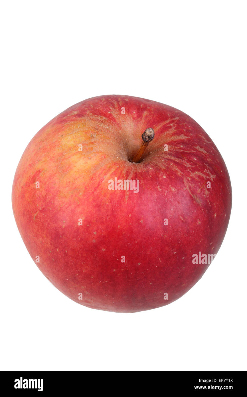 Apple variety Bishop's Mitre Stock Photo