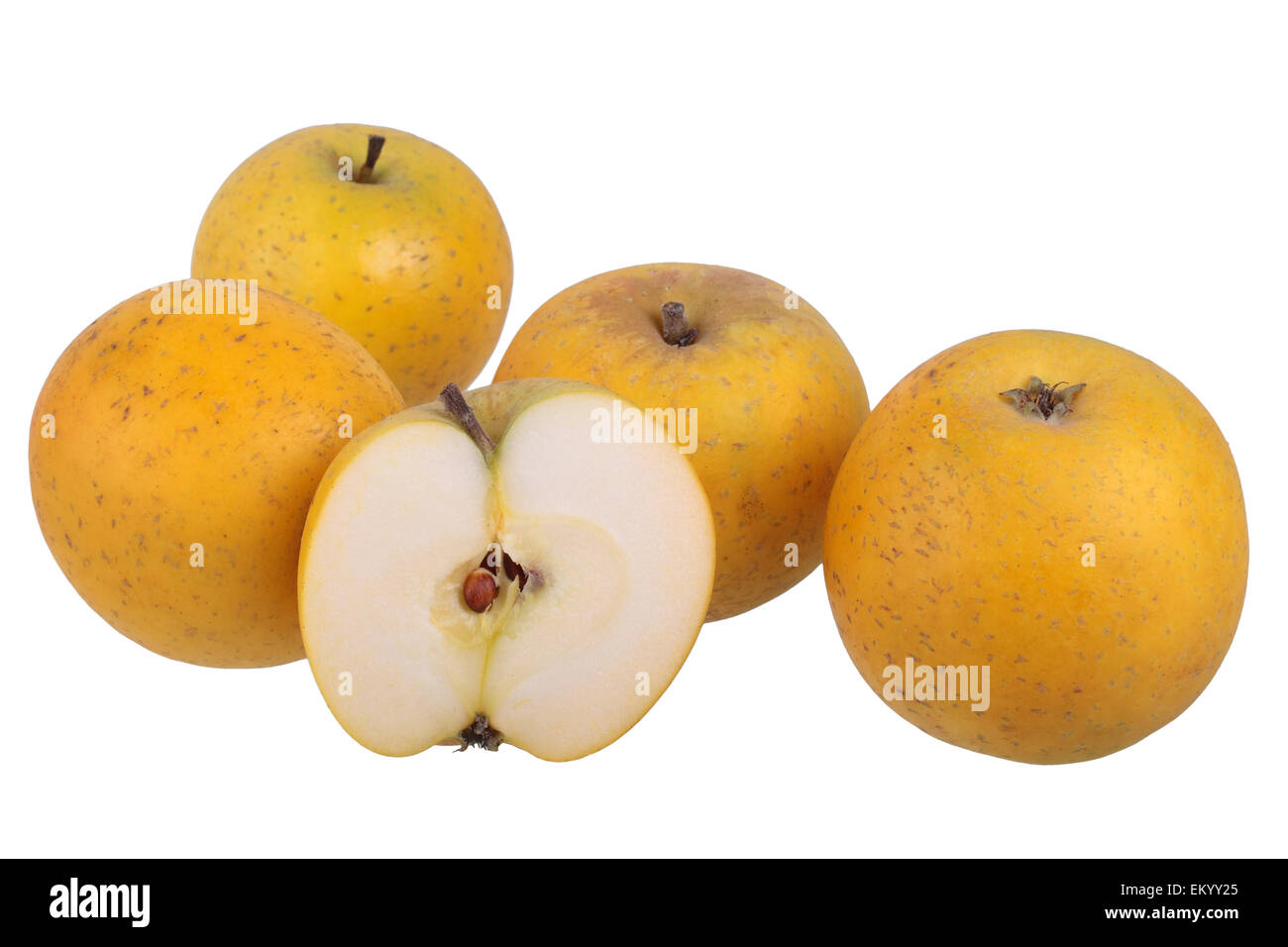 Apple variety Ananas Reinette, with one cut apple Stock Photo