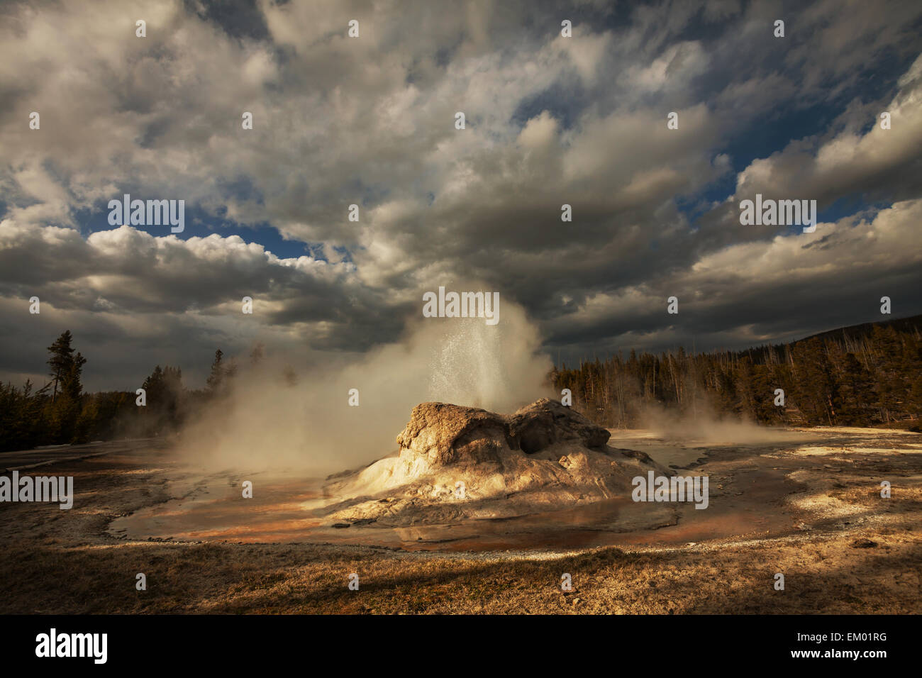 Geyser in Yellowstone Stock Photo