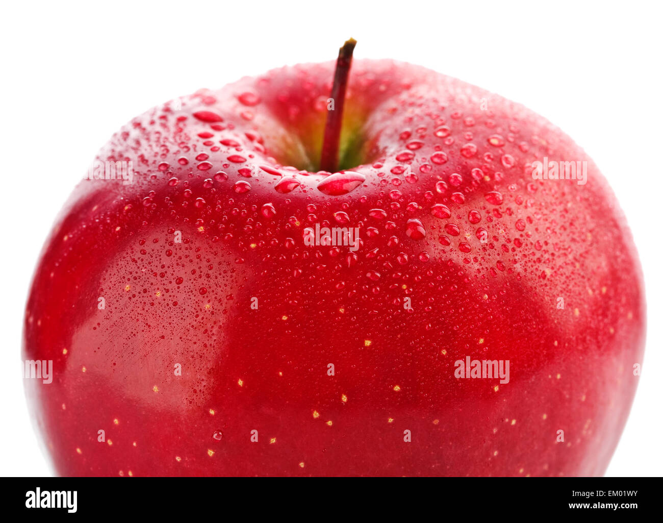 section of wet red apple isolated Stock Photo - Alamy