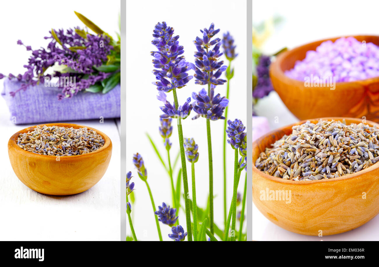 Lavender dry flowers Stock Photo Alamy