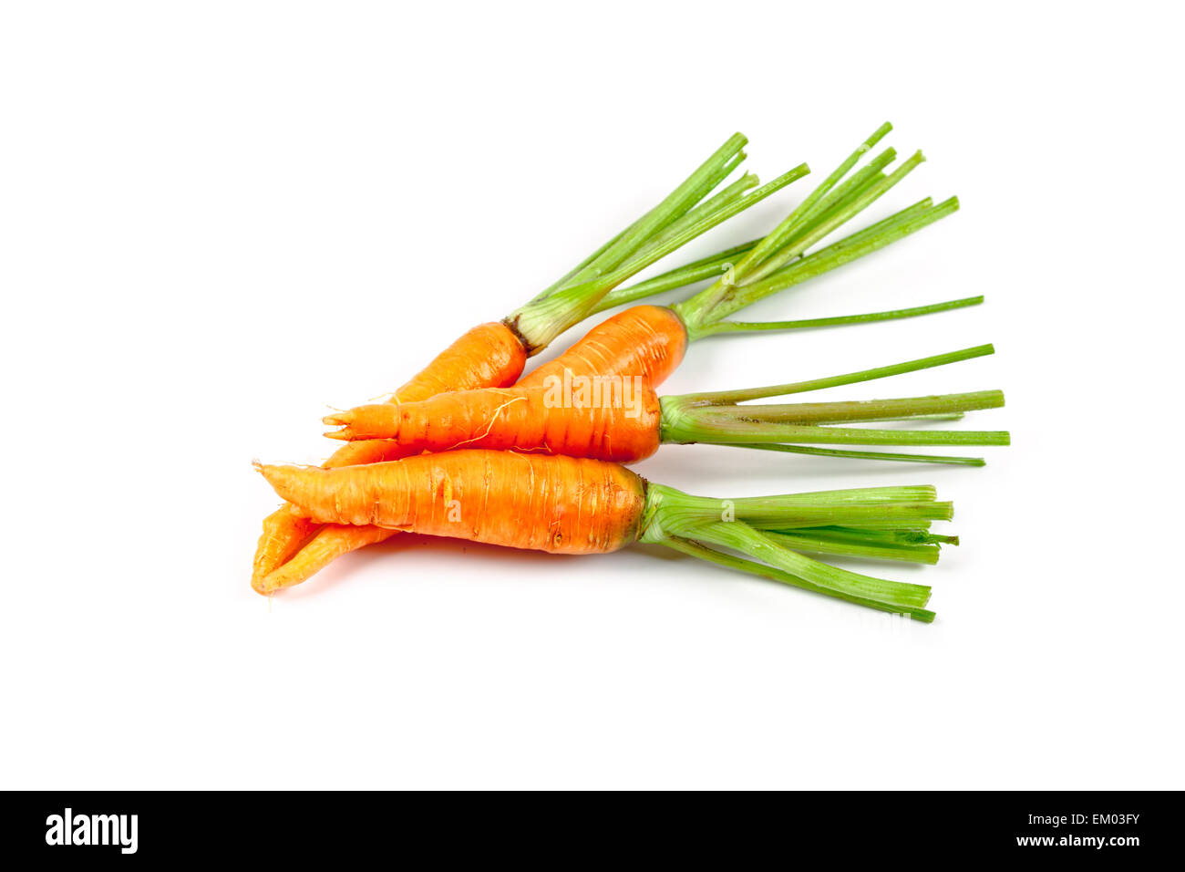 carrot vegetable with leaves Stock Photo Alamy