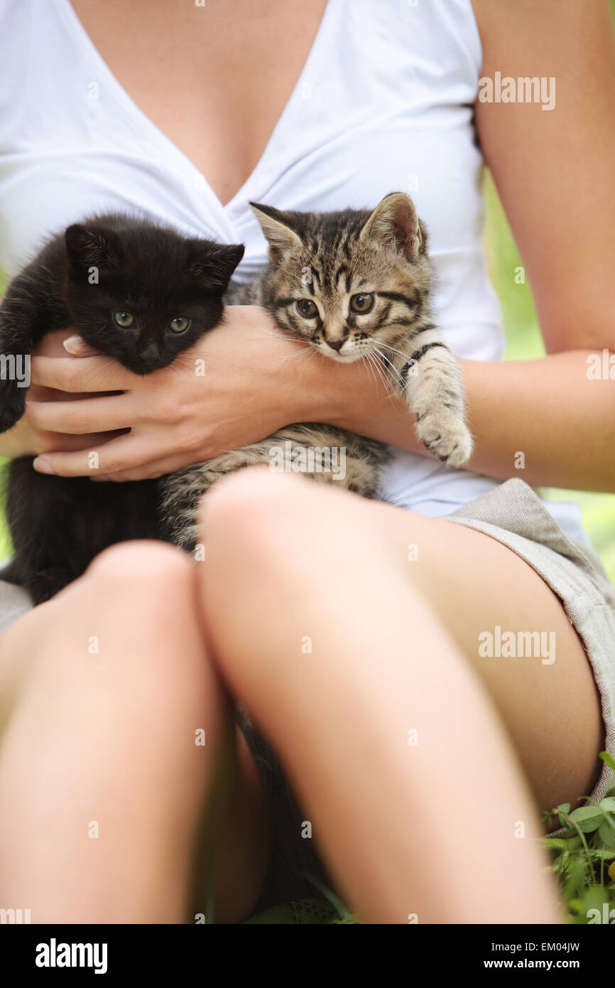 I love cats hi-res stock photography and images - Alamy