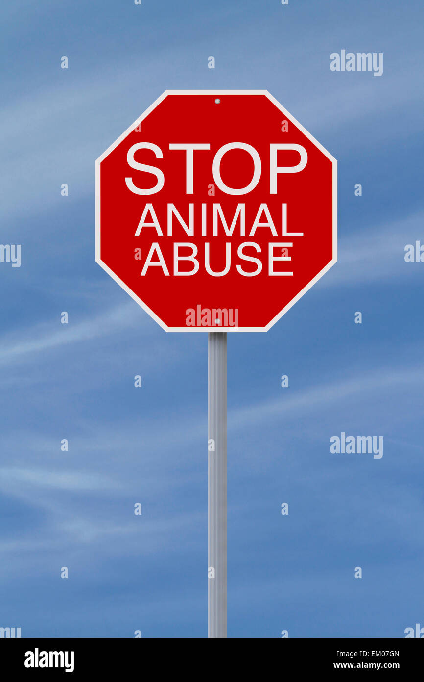 Stop animal abuse hi-res stock photography and images - Alamy Stop animal abuse hi-res stock photography and images - Alamy