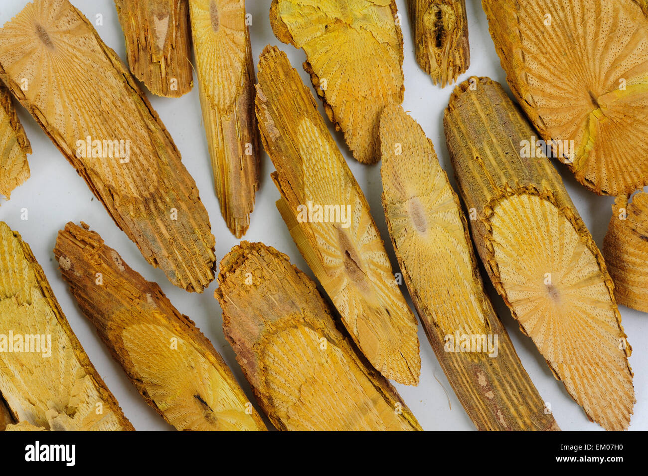 plant materials and herbs prepared by a traditional chinese herb 