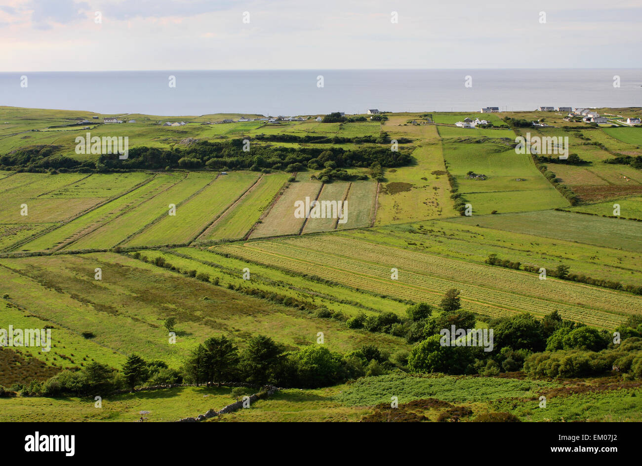 Green Fields On Inishowen Peninsula; Urris, County Donegal, Ireland Stock Photo