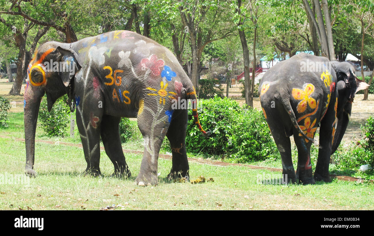 Elephant painting for Songkran Festival is celebrated in a traditional