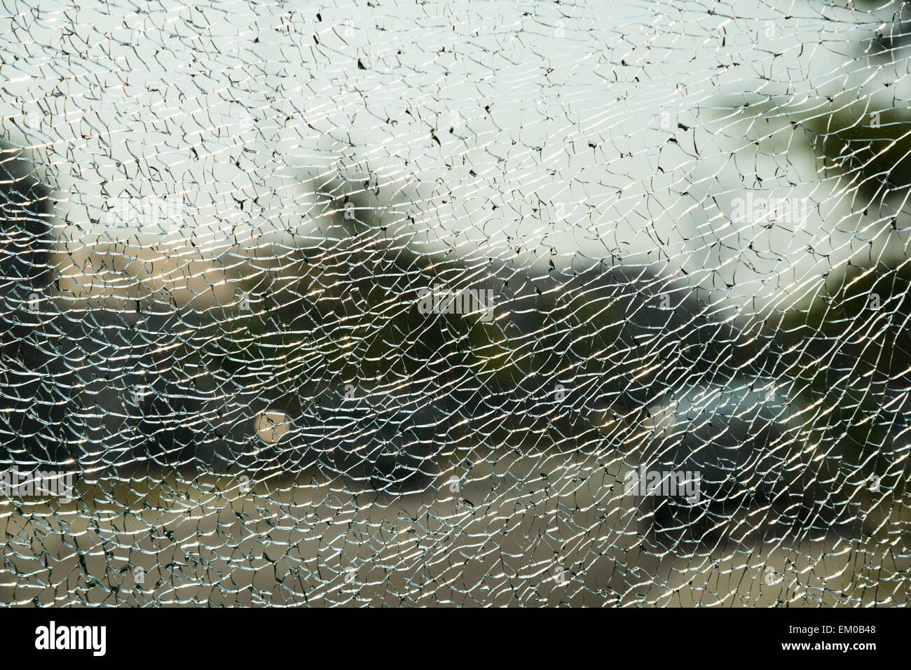 Shot of a cracked car window for inside Stock Photo Alamy