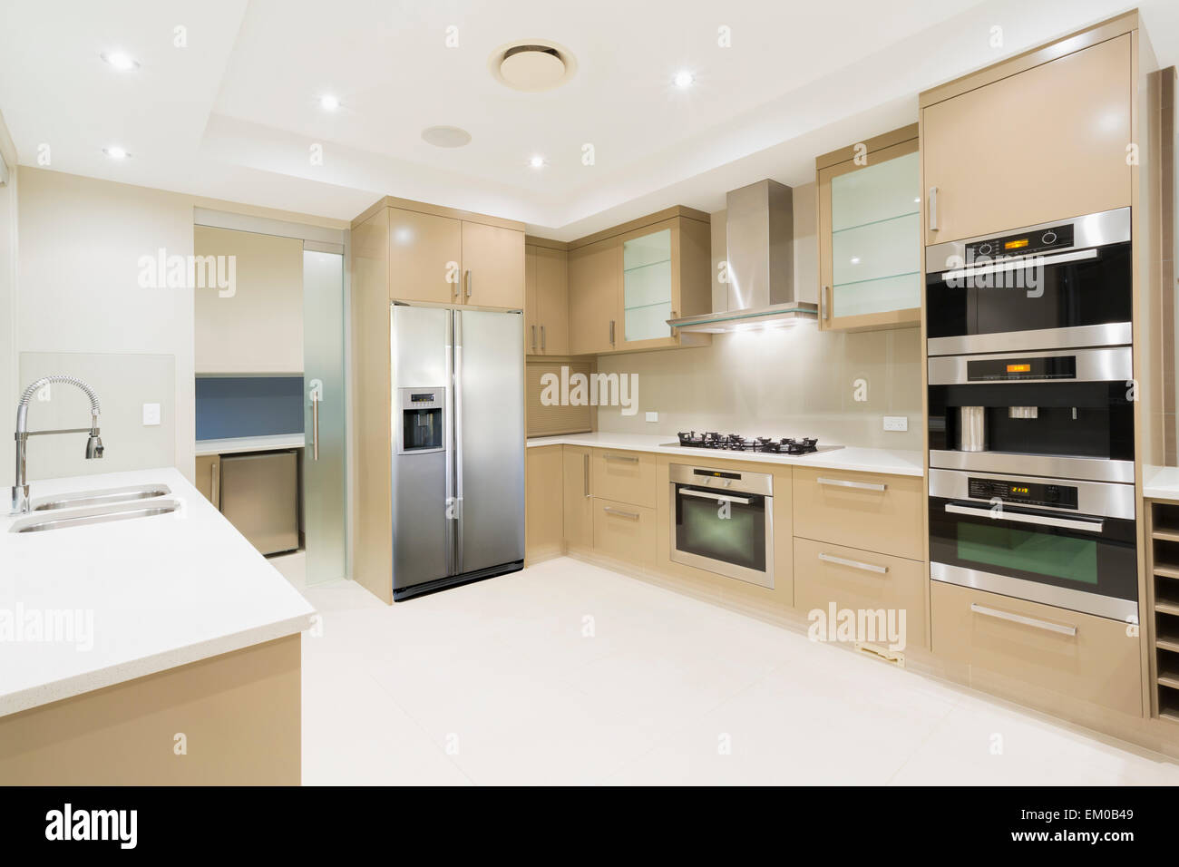 Modern kitchen with stainless steel appliances in Australian mansion