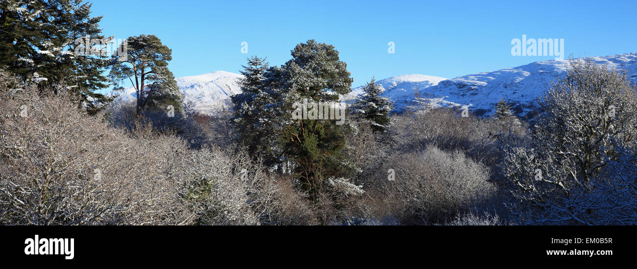 Snow On The Trees And Hills; Bonane County Kerry Ireland Stock Photo ...