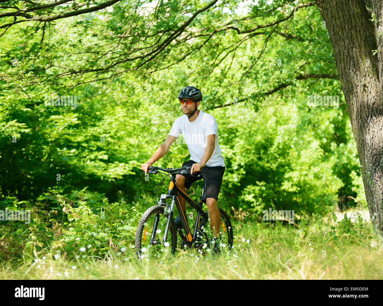 Cyclist Riding the Bike on the Trail in the Forest Stock Photo - Alamy