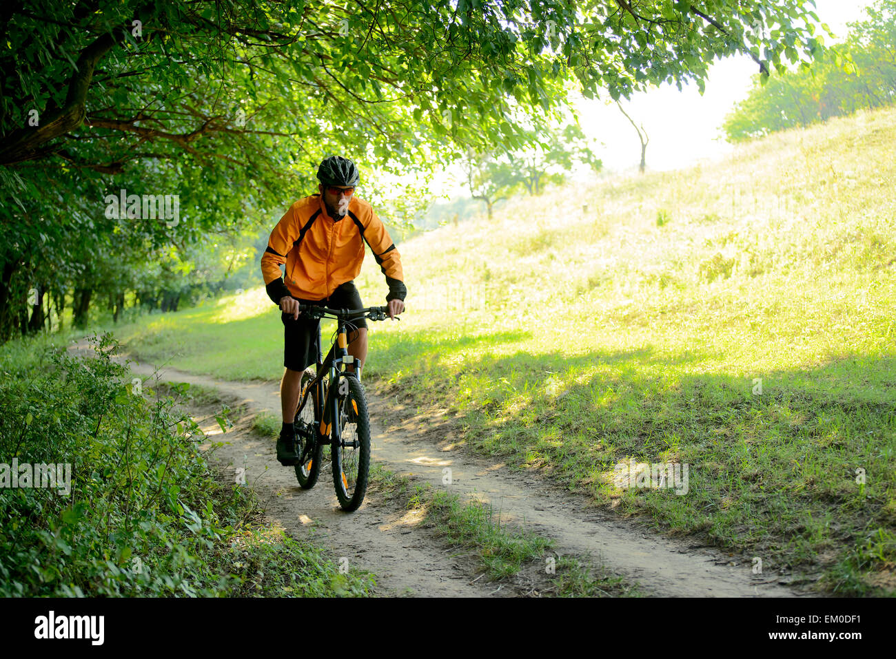 Cyclist Riding the Bike on the Trail in the Forest Stock Photo - Alamy