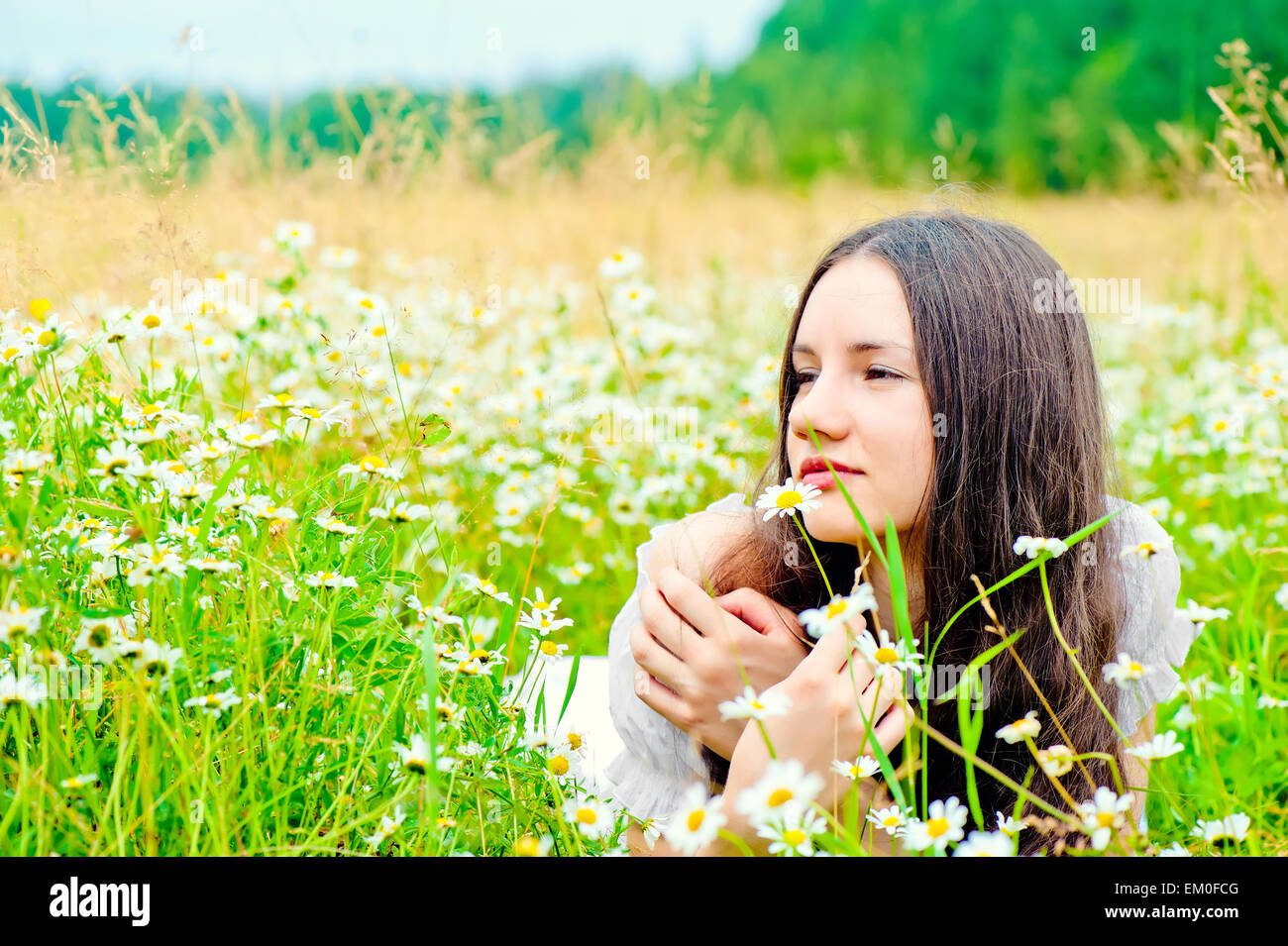 girl resting in a field of chamomile Stock Photo - Alamy