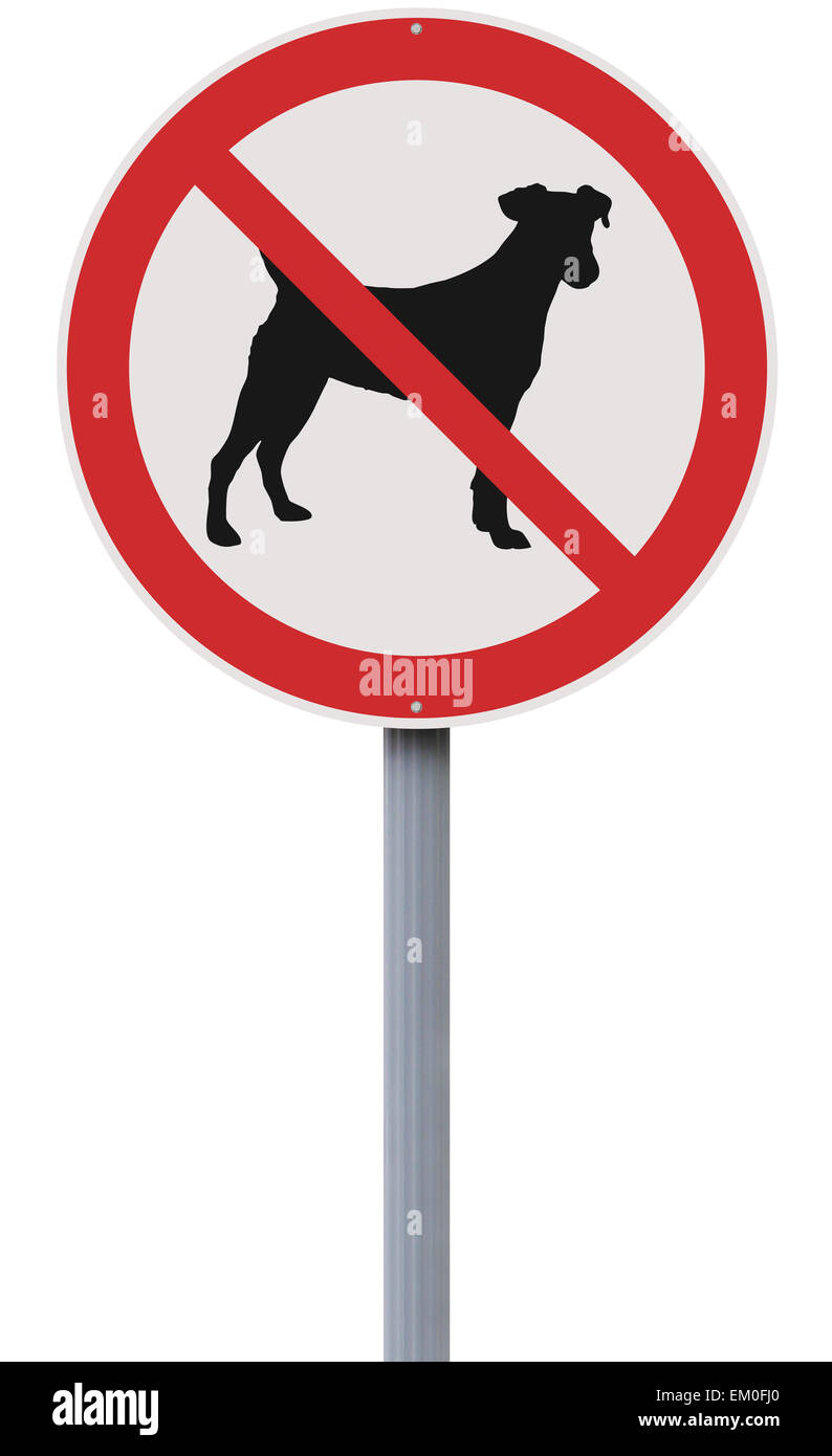 Why Are Dogs Not Allowed In Shops