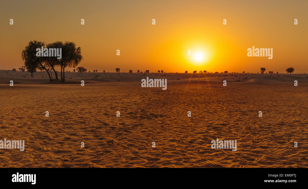 Sunset in the Arabian desert Stock Photo - Alamy