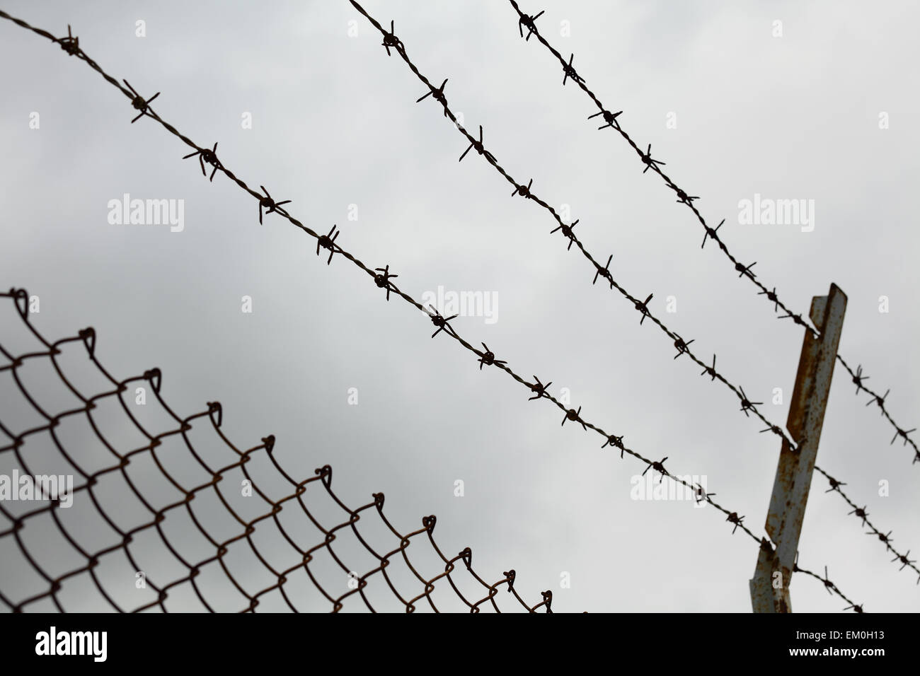 Chain link fence with barbed wire Stock Photo Alamy