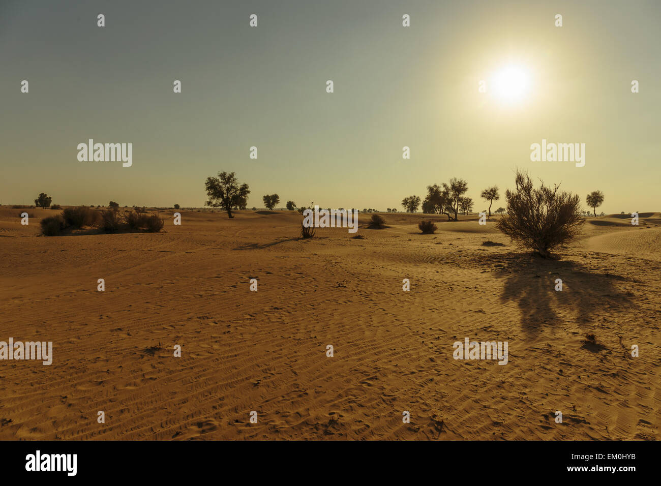 Saudi desert sunset hi-res stock photography and images - Alamy