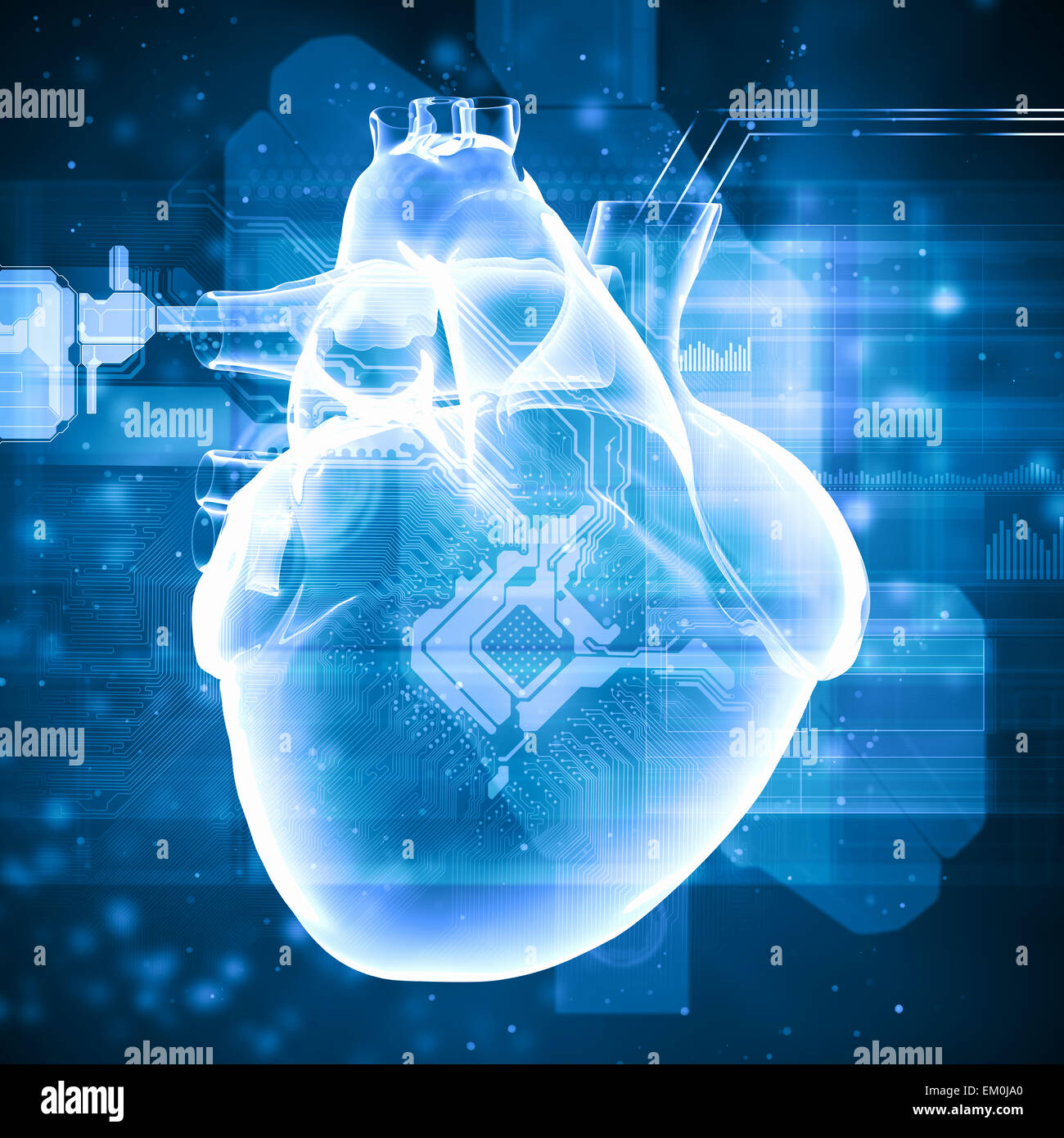 3d heart diagram hi-res stock photography and images - Alamy