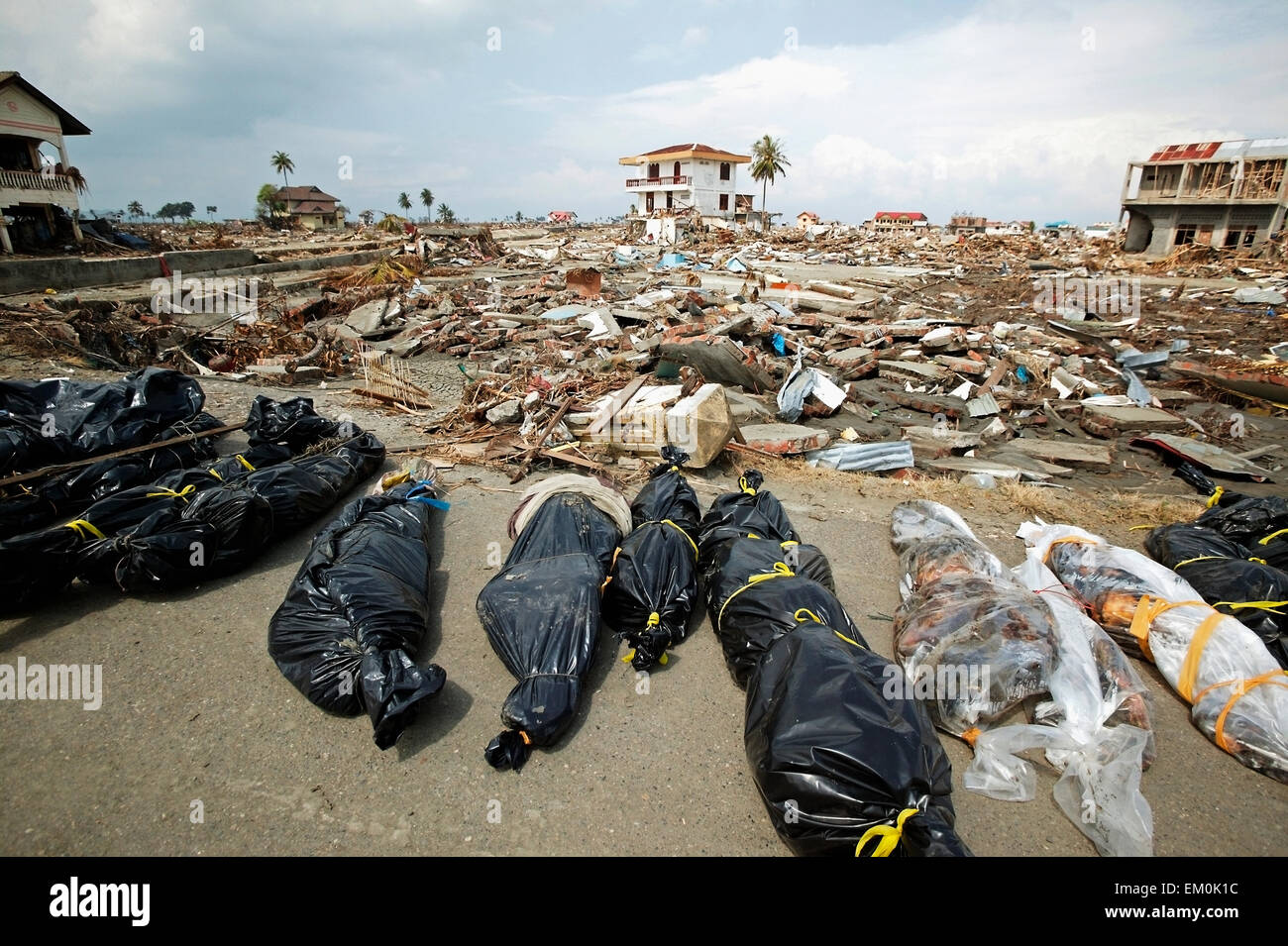 Body bags and debris after the Indian Ocean earthquake and ...